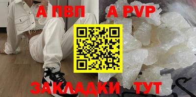 амф Кингисепп