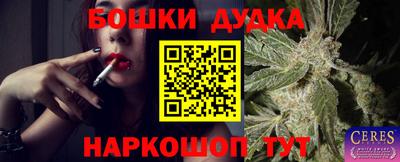 индика Комсомольск-на-Амуре