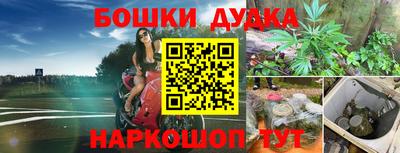 индика Комсомольск-на-Амуре