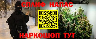 амф Кингисепп