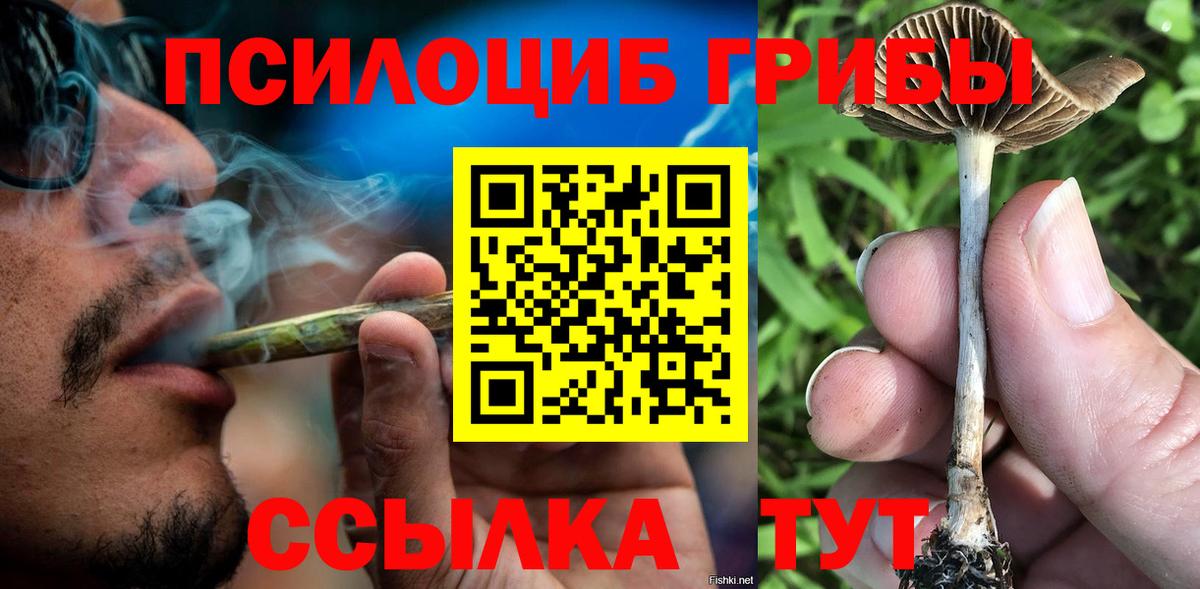 сколько стоит  Галлюциногенные грибы мицелий  Вход с VPN  Галлюциногенные грибы GOLDEN TEACHER  Арсеньев 